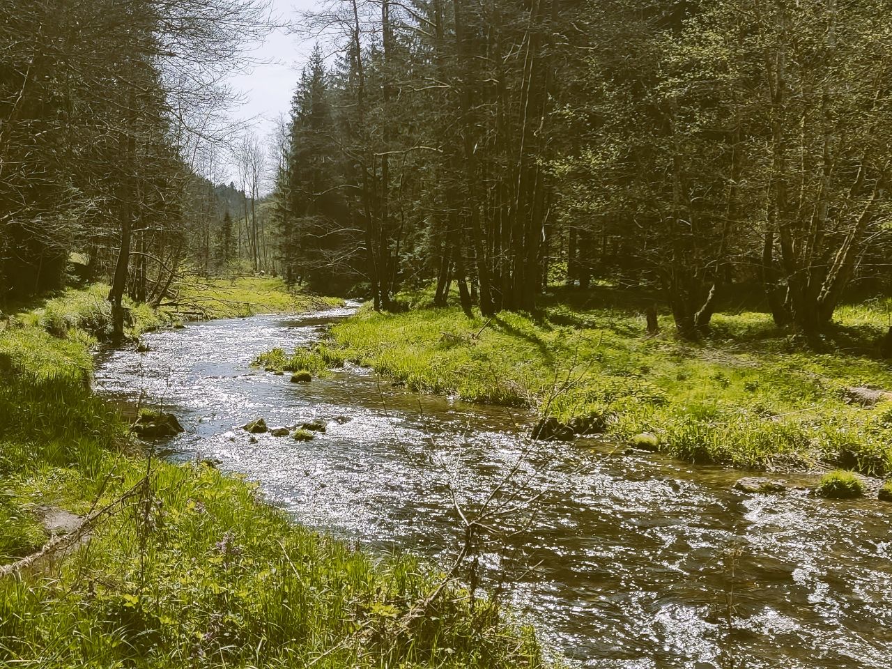 Innviertel Geheimtipps: Abseits der Pfade rund um das Kößlbachtal entdecken